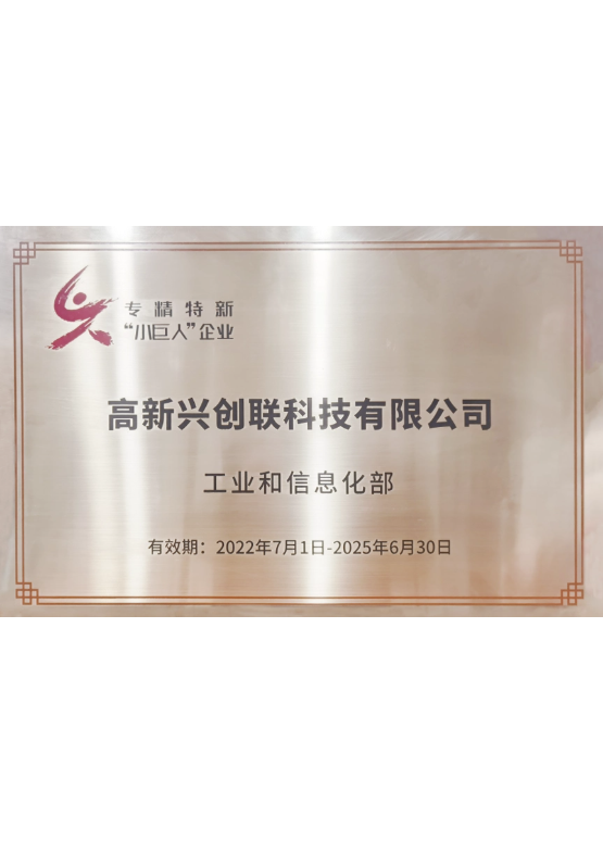 國家專精特新“小巨人”企業(yè)